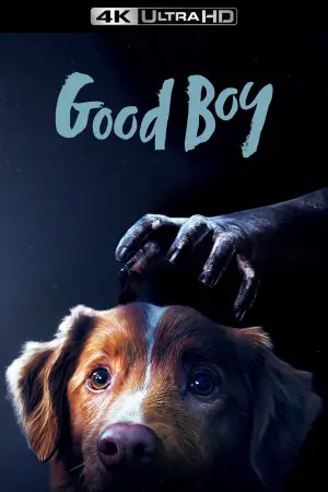 Poster to the movie "Good Boy" #770396