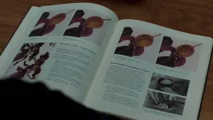 Backdrop to the movie "Memoria" #767571