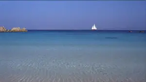 Backdrop to the movie "Red Desert" #775109