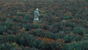 Backdrop to the movie "The Calf Doll" #777999