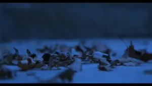 Backdrop to the movie "Blood Is Thicker Than Water" #429514