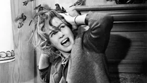 Backdrop to the movie "The Birds" #209987