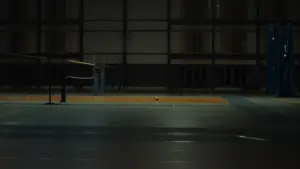 Backdrop to the movie "A Bird Flew" #368587