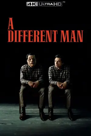 Poster to the movie "A Different Man" #592629