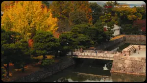 Backdrop to the movie "Lost in Japan" #571846
