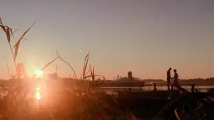 Backdrop to the movie "Manhunter" #720945