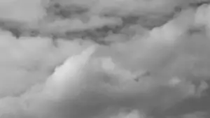 Backdrop to the movie "The Prophet" #558087