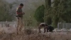 Backdrop to the movie "Skinwalkers" #738079