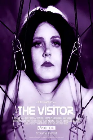Poster to the movie "The Visitor" #756940