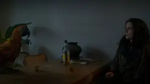 Backdrop to the movie "Tuesday" #532806