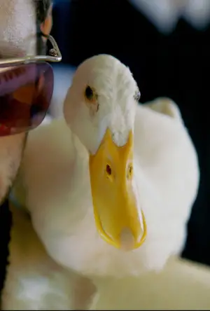 Poster to the movie "Yes" #532960