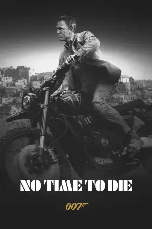 Poster to the movie "No Time to Die" #578535