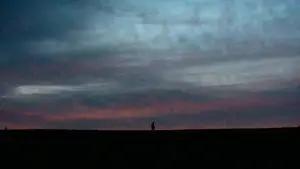 Backdrop to the movie "The Human Hibernation" #757296