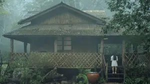 Backdrop to the movie "Cracked" #439988