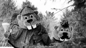 Backdrop to the movie "Hundreds of Beavers" #756225