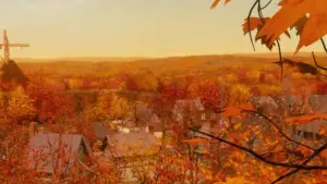 Backdrop to the movie "Monster House" #701320