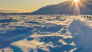 Backdrop to the movie "Bear Witness" #725165