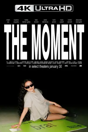 Poster to the movie "The Moment" #762475