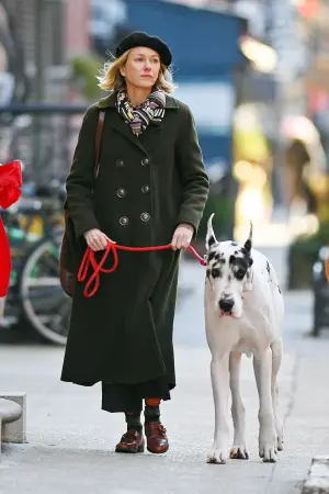 Poster to the movie "The Friend" #589132