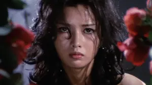 Backdrop to the movie "The Transgressor" #446474