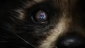 Backdrop to the movie "Guardians of the Galaxy Vol. 3" #560468