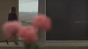 Backdrop to the movie "Red Desert" #775112