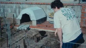 Backdrop to the movie "Shell Shocked" #367217