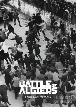 Poster to the movie "The Battle of Algiers" #752755