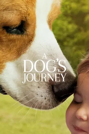 Poster to the movie "A Dog