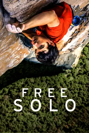 Poster to the movie "Free Solo" #621483