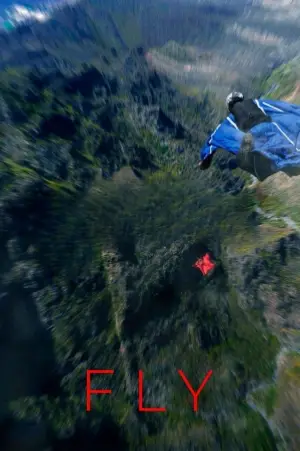 Poster to the movie "Fly" #700502