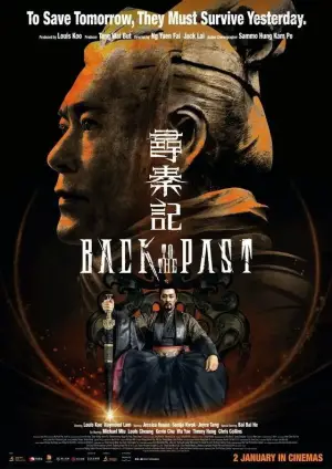 Poster to the movie "Back to the Past" #518560