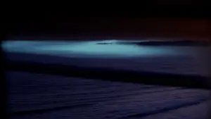 Backdrop to the movie "The Fog" #711335