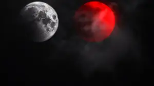 Backdrop to the movie "Not All Movies Are the Same: Dual" #936256