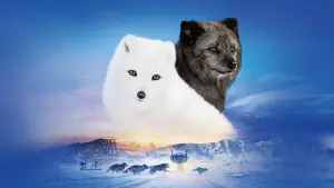 Backdrop to the movie "Kina & Yuk : renards de la banquise" #757773