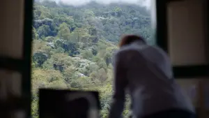 Backdrop to the movie "Memoria" #360378