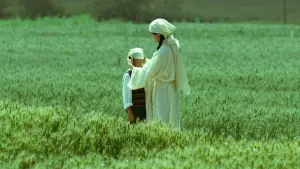 Backdrop to the movie "Living the Land" #538867