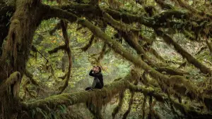 Backdrop to the movie "Whispers in the Woods" #534612