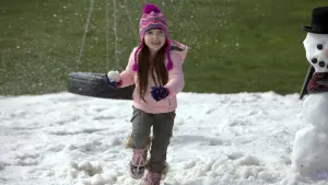 Backdrop to the movie "Jingle All the Way 2" #469026