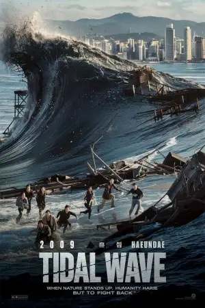 Poster to the movie "Haeundae" #872832