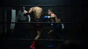 Backdrop to the movie "Punch" #500183