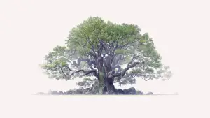 Backdrop to the movie "The Keeper of the Camphor Tree" #538625