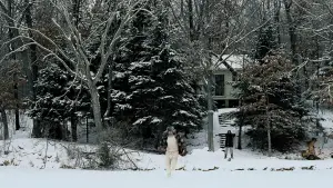 Backdrop to the movie "Fargo" #620693