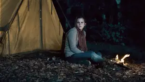 Backdrop to the movie "Harry Potter and the Deathly Hallows: Part 1" #558262