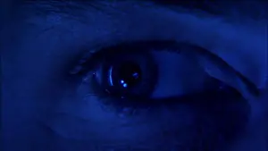 Backdrop to the movie "Avatar" #168101