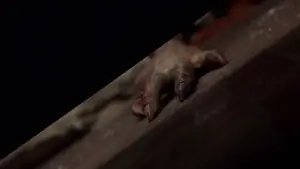 Backdrop to the movie "Signs" #670390