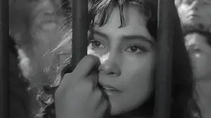 Backdrop to the movie "The Cranes Are Flying" #720495