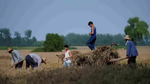 Backdrop to the movie "Living the Land" #538869