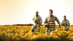 Backdrop to the movie "O Brother, Where Art Thou?" #810287