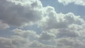 Backdrop to the movie "The Straight Story" #529147